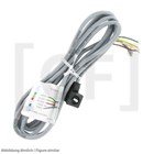 Câble connecteur blindé 6m avec fiche pour détendeur Carel IP67